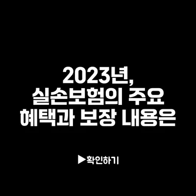 2023년, 실손보험의 주요 혜택과 보장 내용은?