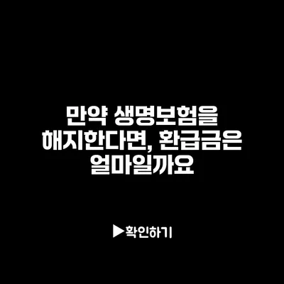 만약 생명보험을 해지한다면, 환급금은 얼마일까요?