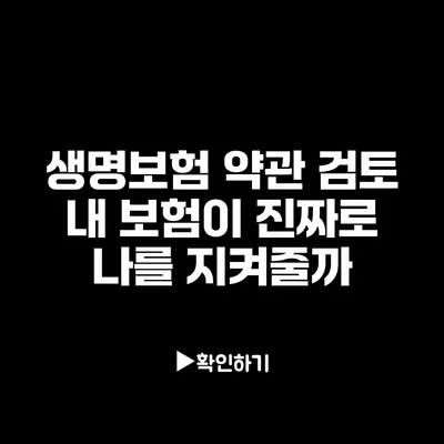 생명보험 약관 검토: 내 보험이 진짜로 나를 지켜줄까?