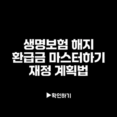 생명보험 해지 환급금 마스터하기: 재정 계획법