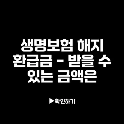 생명보험 해지 환급금 - 받을 수 있는 금액은?