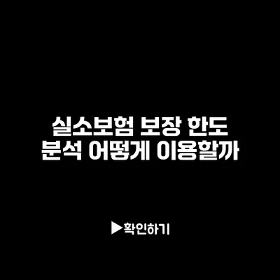 실소보험 보장 한도 분석: 어떻게 이용할까?