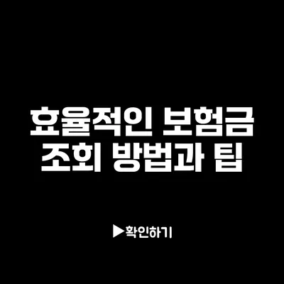 효율적인 보험금 조회 방법과 팁